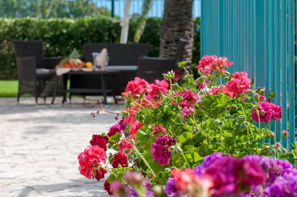 Hotel Ristorante Il Vascello Коста Рей Экстерьер фото
